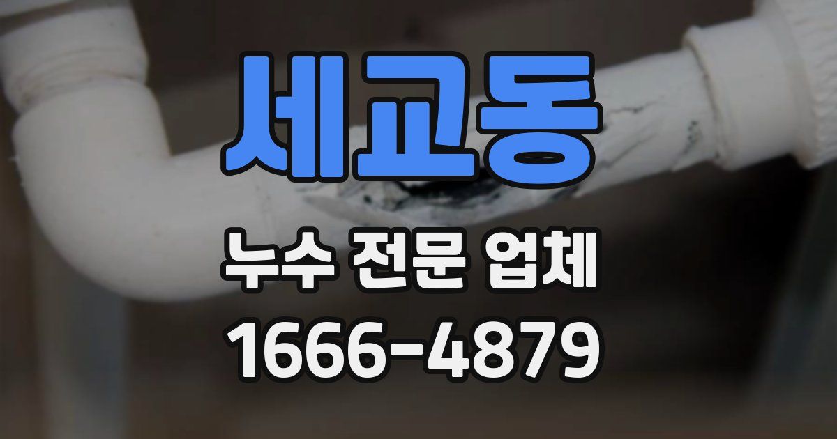 세교동 누수 전문 업체
