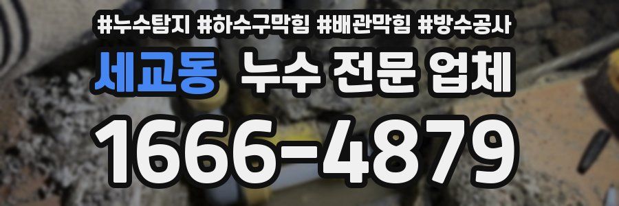 세교동 누수 전문 업체