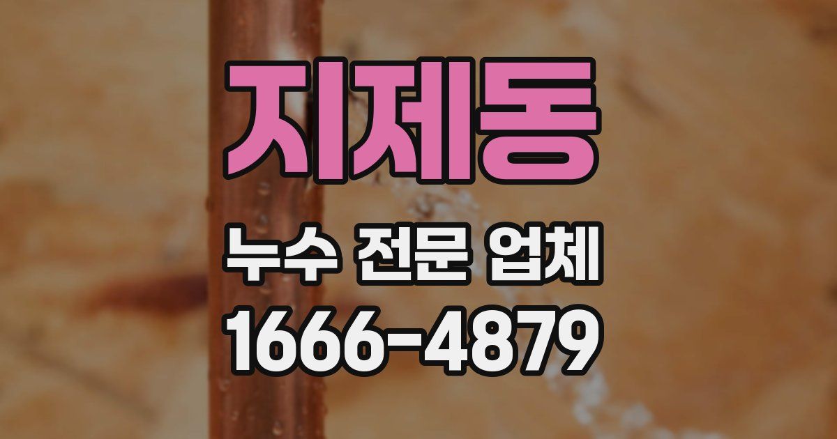 지제동 누수 전문 업체