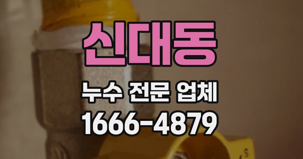 신대동 누수 전문 업체