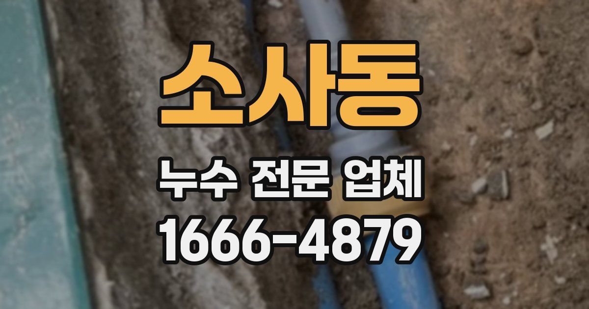 소사동 누수 전문 업체