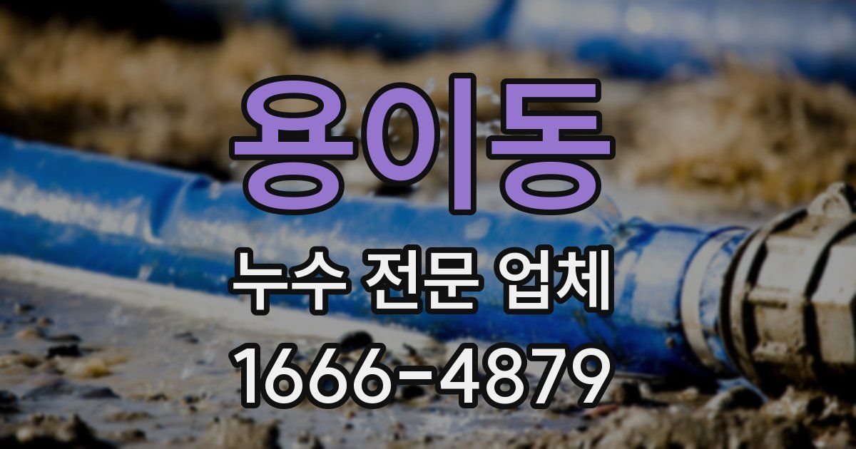 용이동 누수 전문 업체