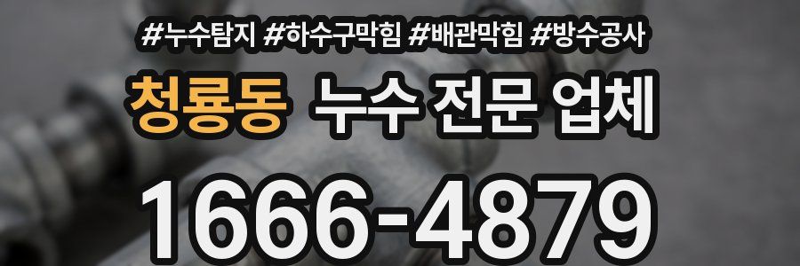 청룡동 누수 전문 업체