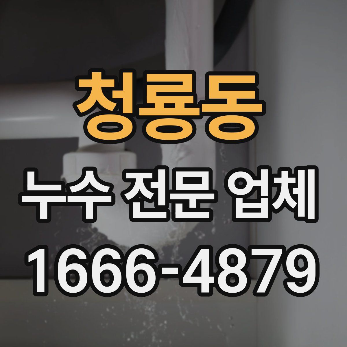 청룡동 누수 전문 업체