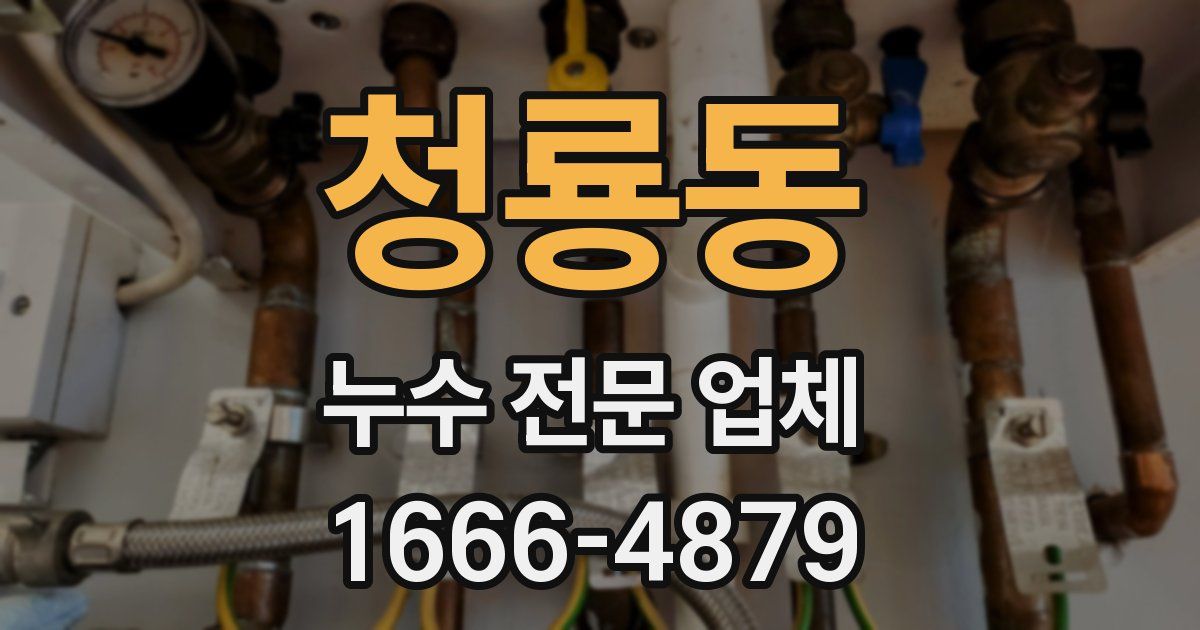 청룡동 누수 전문 업체