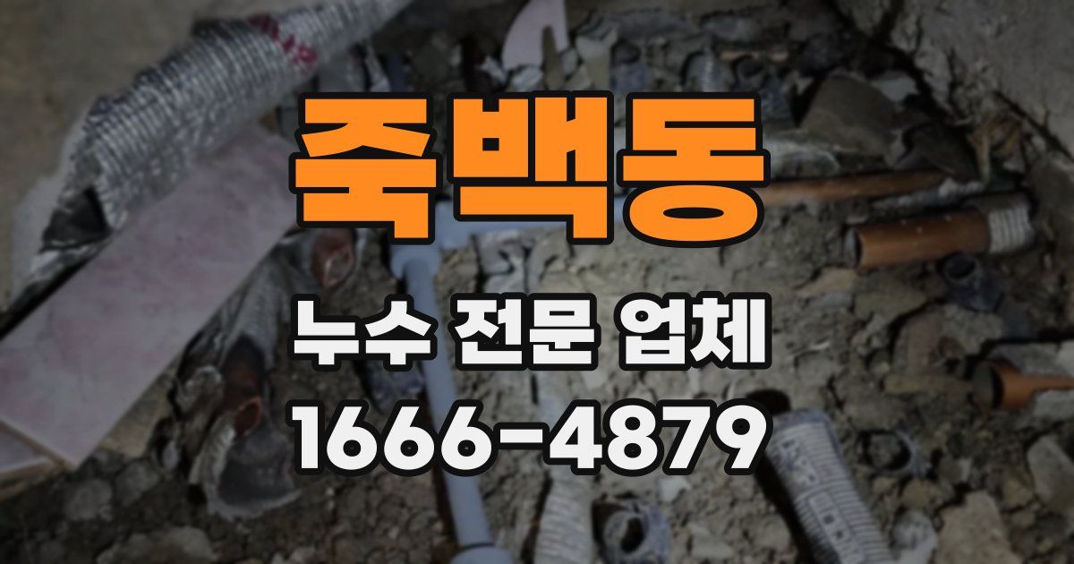 죽백동 누수 전문 업체