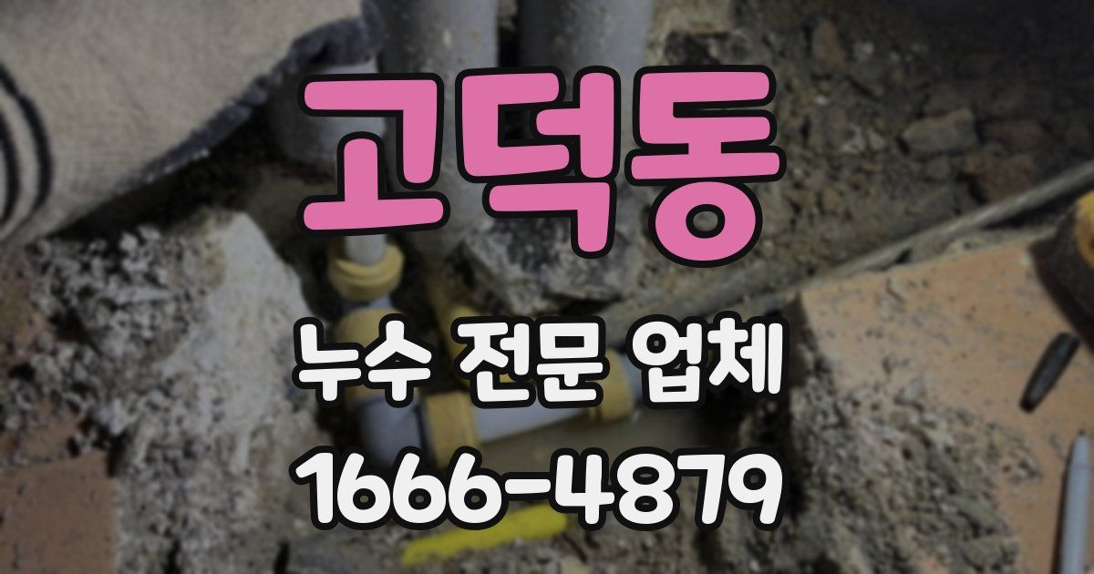 고덕동 누수 전문 업체