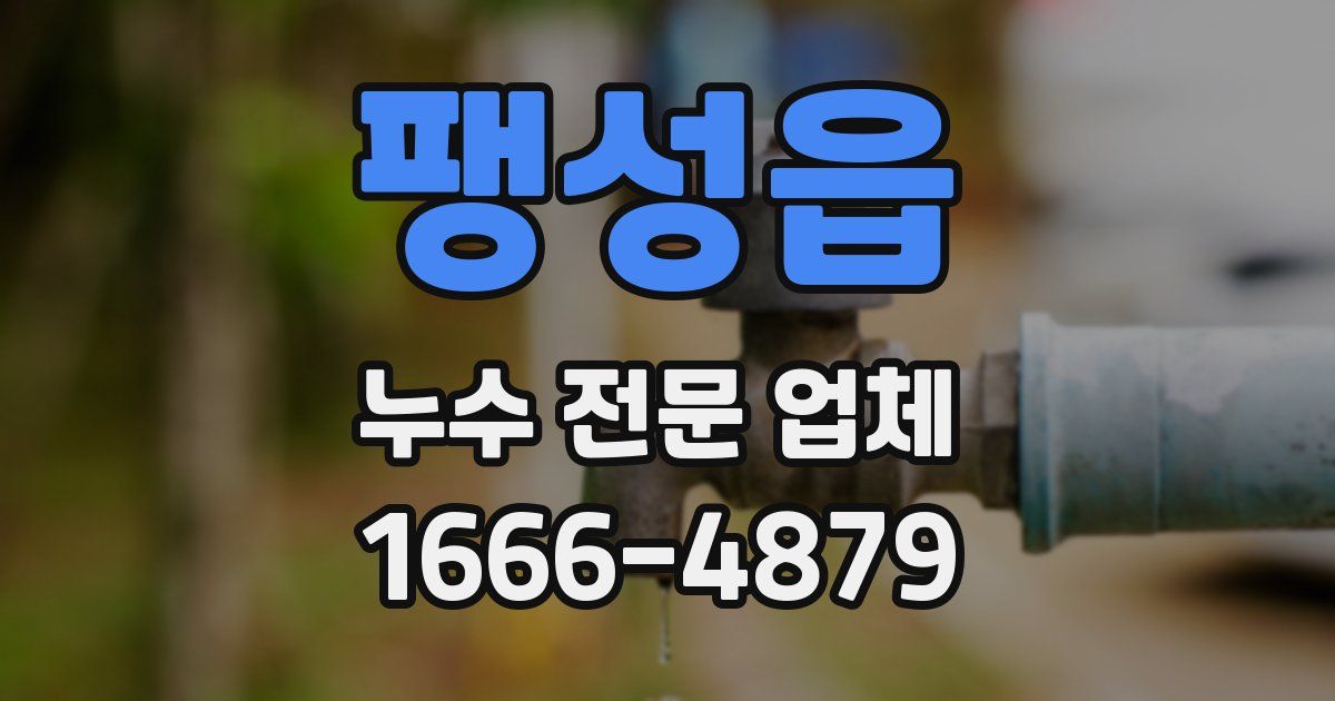 팽성읍 누수 전문 업체