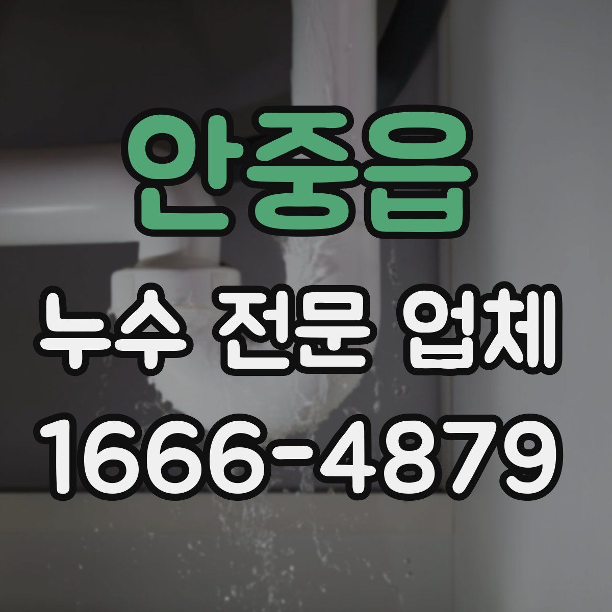 안중읍 누수 전문 업체