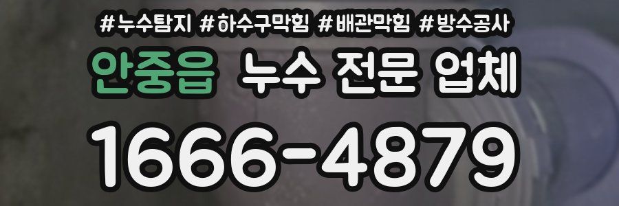 안중읍 누수 전문 업체