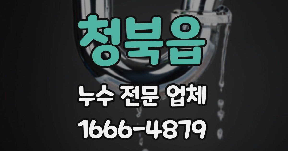 청북읍 누수 전문 업체