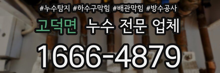 고덕면 누수 전문 업체