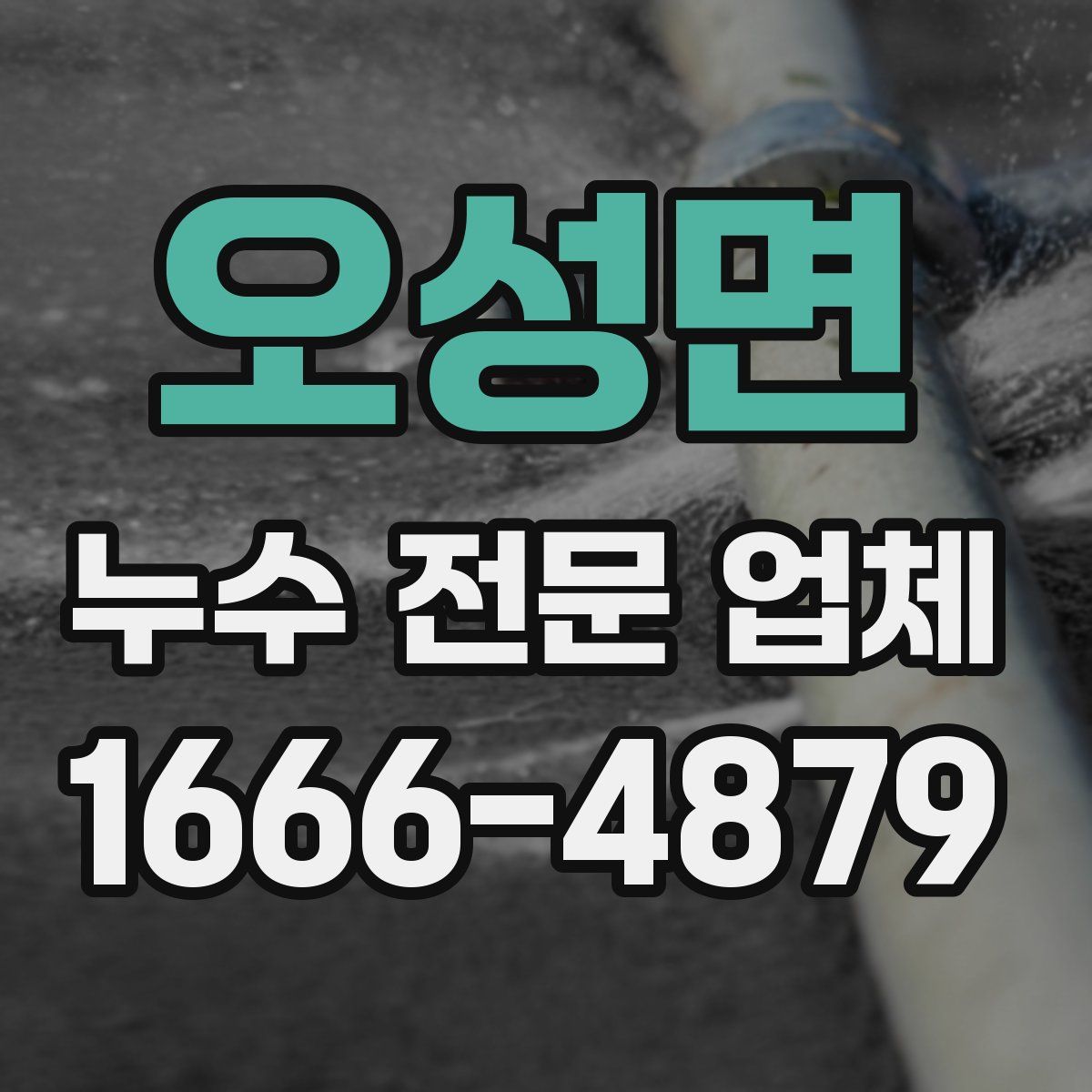 오성면 누수 전문 업체