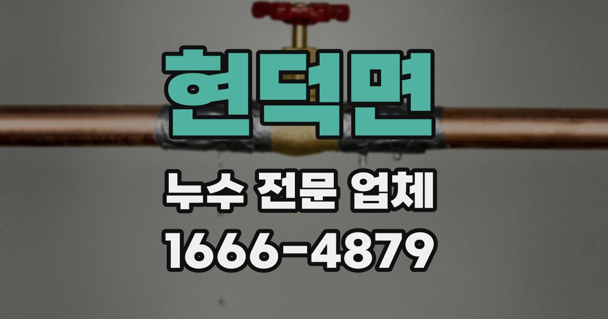 현덕면 누수 전문 업체