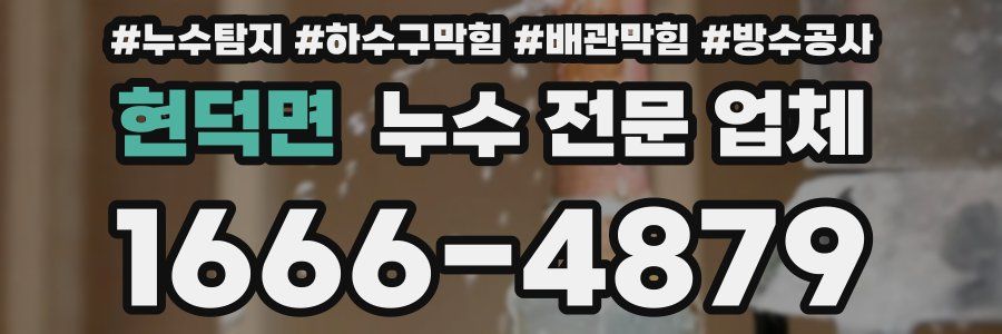 현덕면 누수 전문 업체
