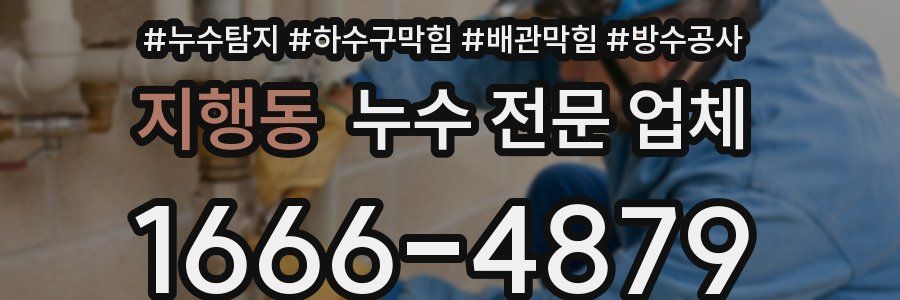 지행동 누수 전문 업체