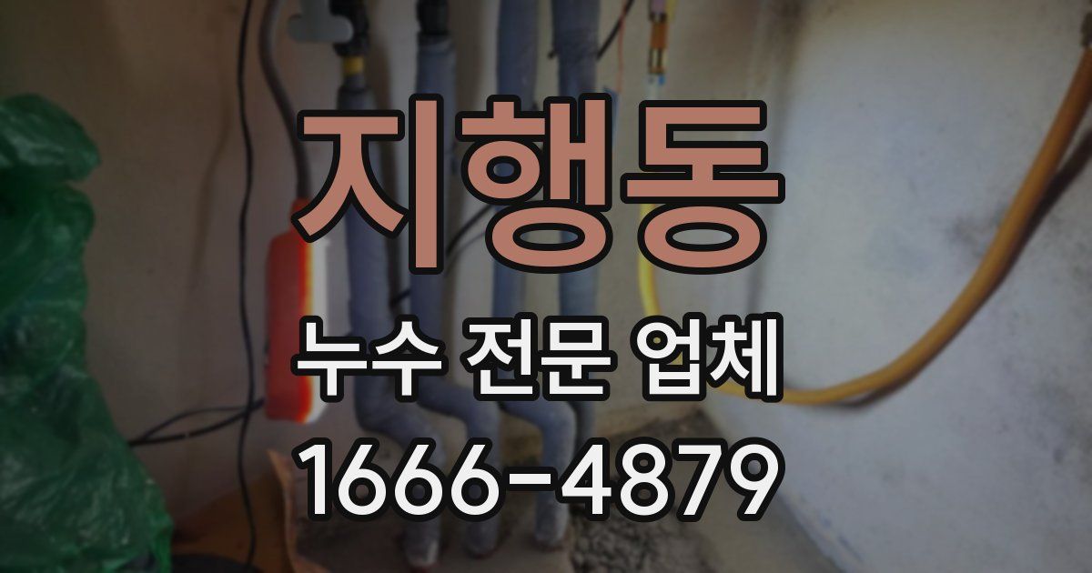 지행동 누수 전문 업체