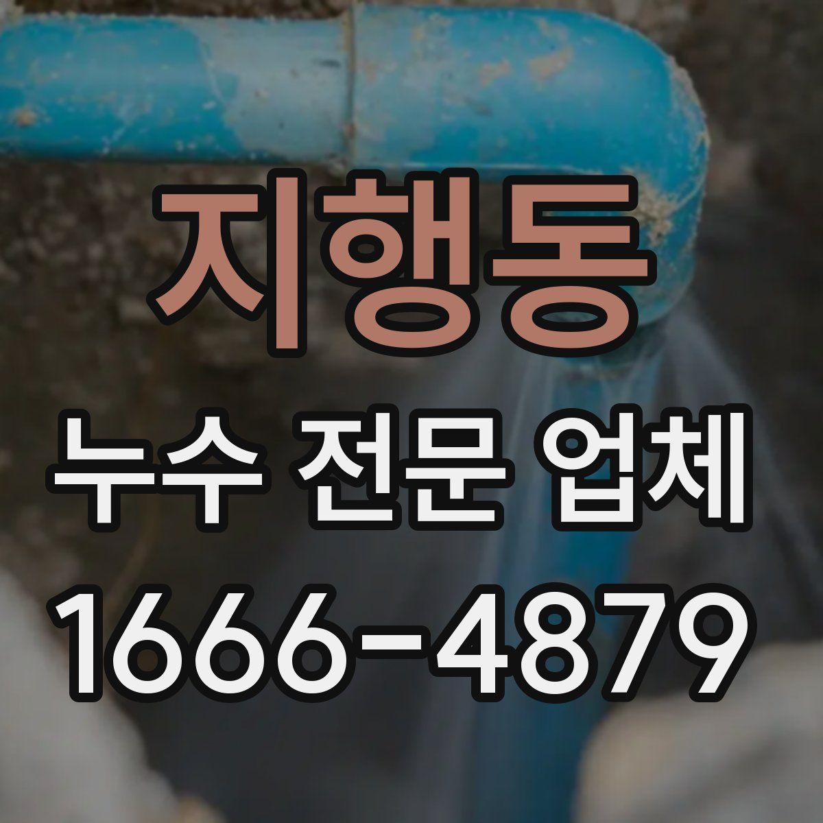 지행동 누수 전문 업체