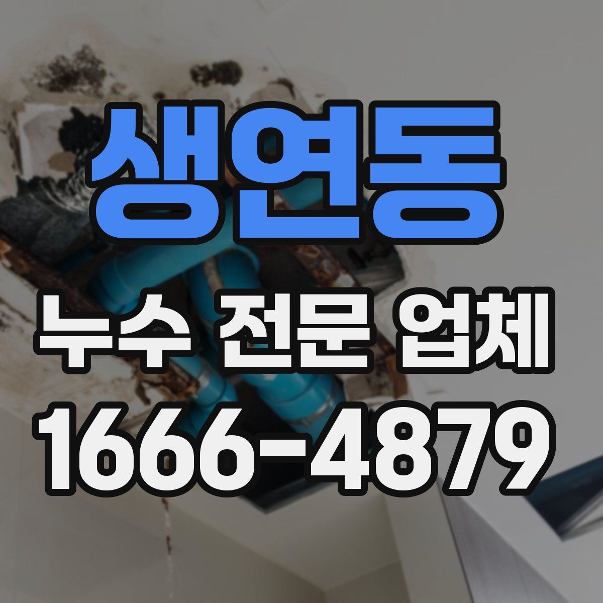 생연동 누수 전문 업체