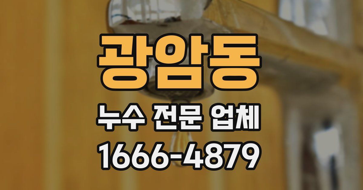 광암동 누수 전문 업체
