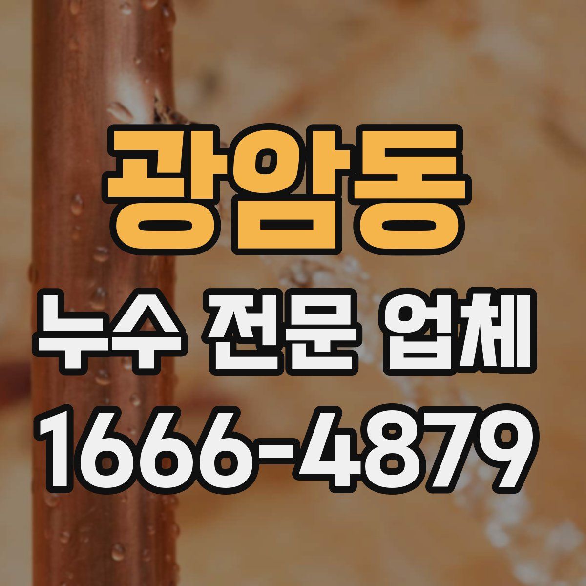 광암동 누수 전문 업체
