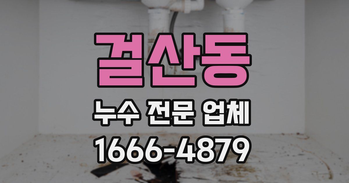 걸산동 누수 전문 업체