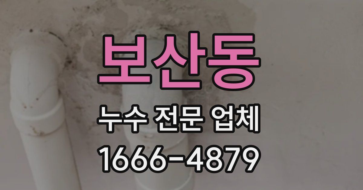 보산동 누수 전문 업체