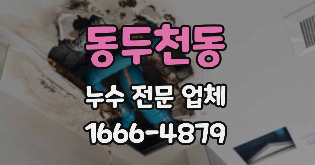 동두천동 누수 전문 업체