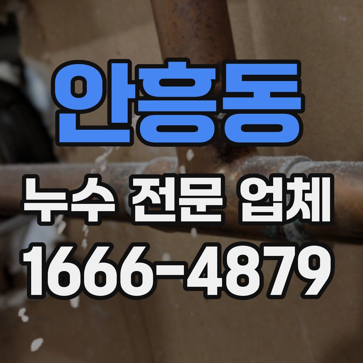 안흥동 누수 전문 업체