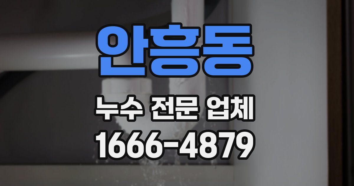 안흥동 누수 전문 업체