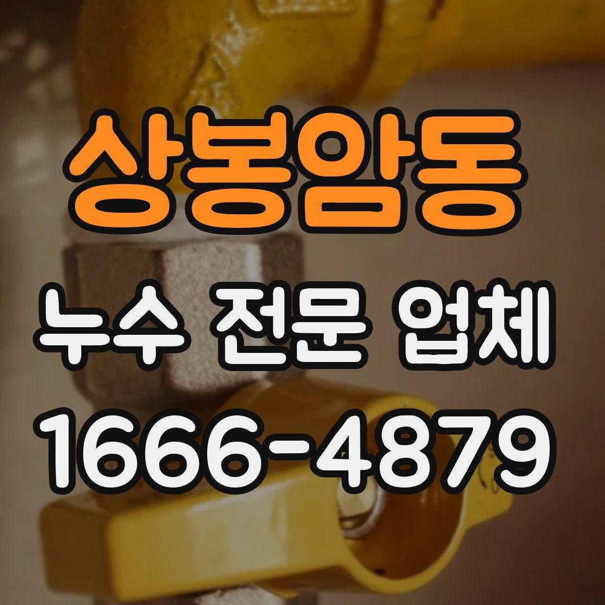상봉암동 누수 전문 업체
