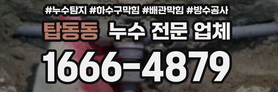 탑동동 누수 전문 업체