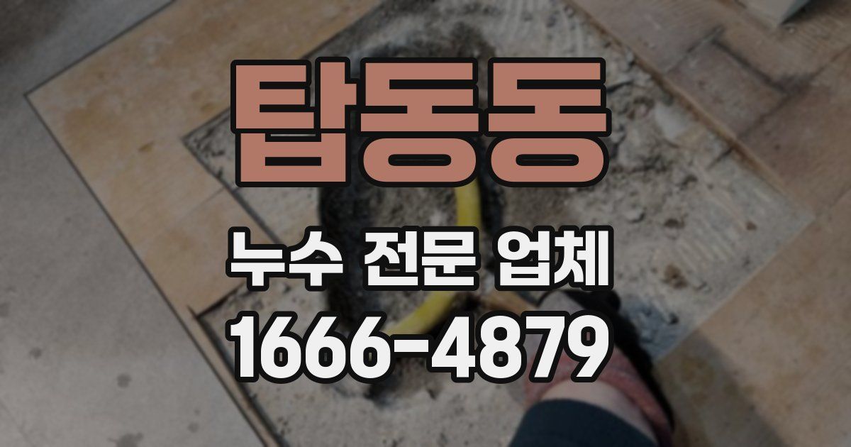 탑동동 누수 전문 업체