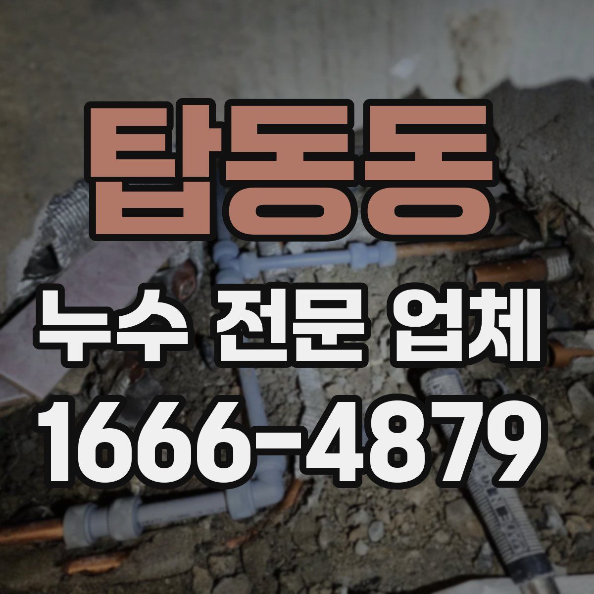 탑동동 누수 전문 업체