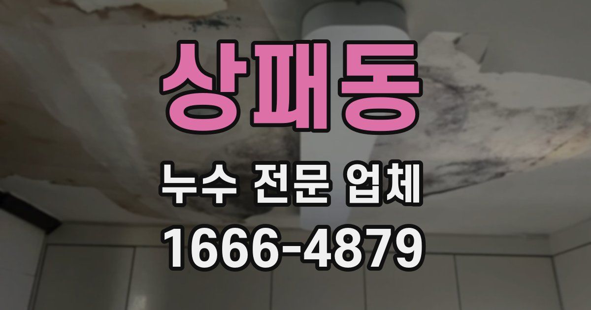 상패동 누수 전문 업체