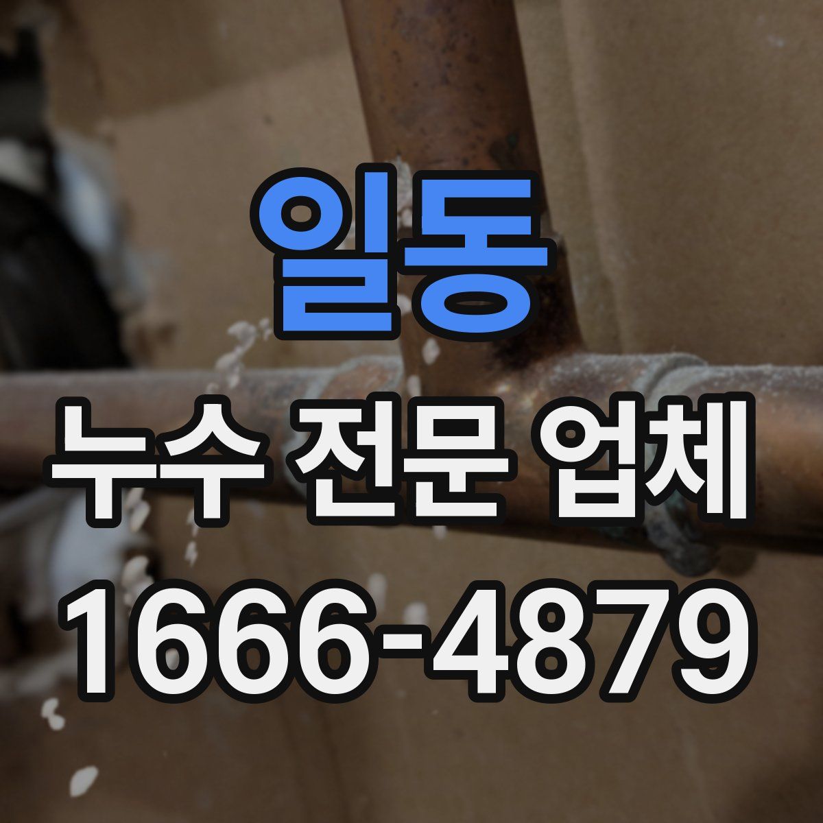 일동 누수 전문 업체