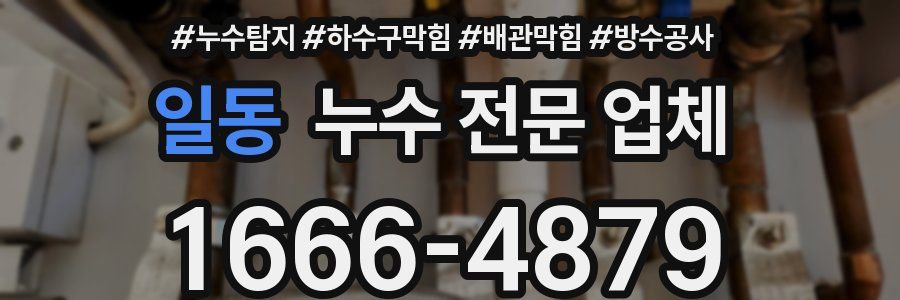 일동 누수 전문 업체