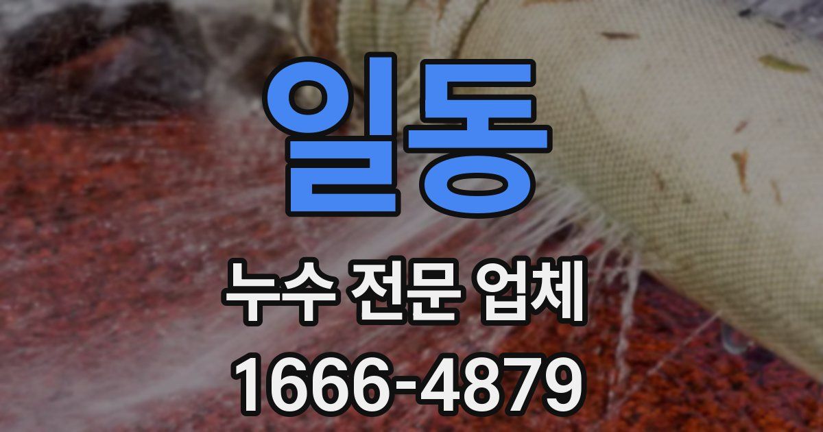 일동 누수 전문 업체