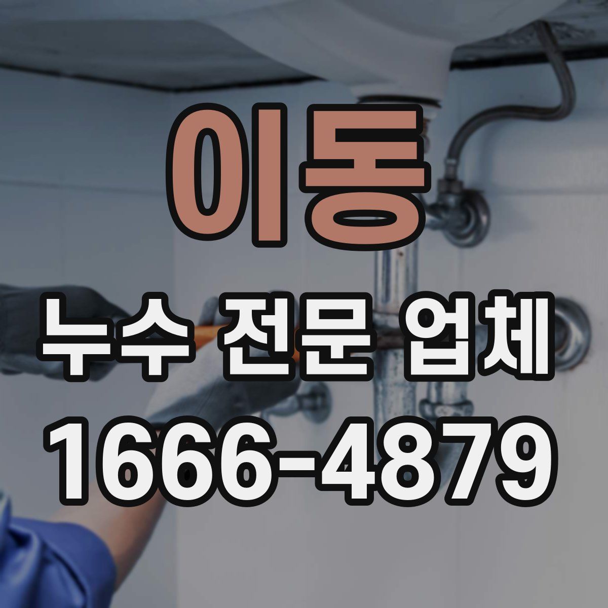 이동 누수 전문 업체