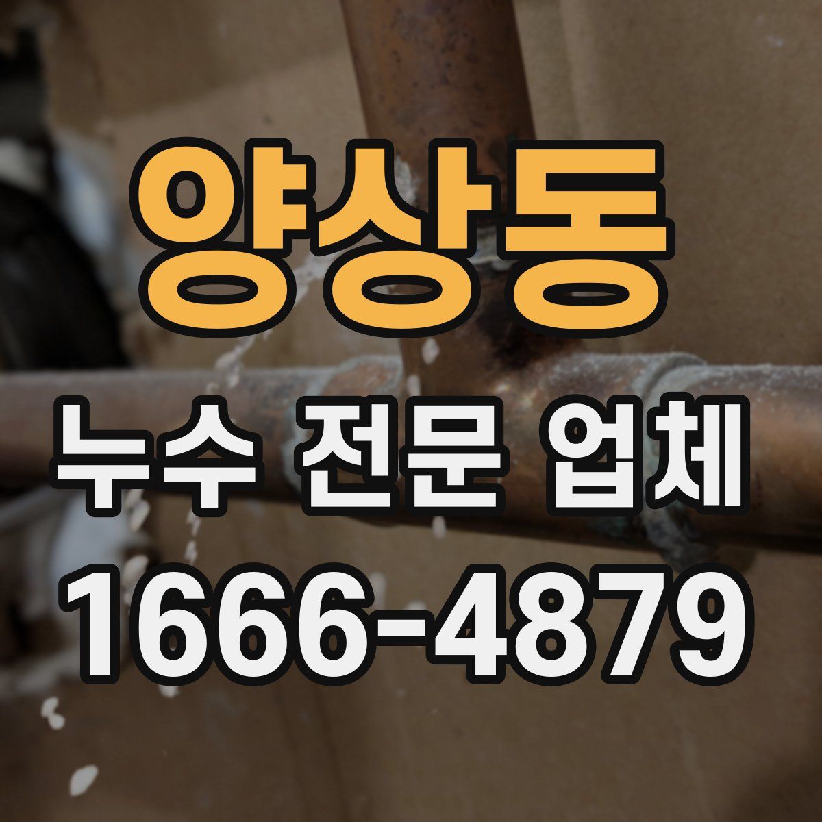 양상동 누수 전문 업체