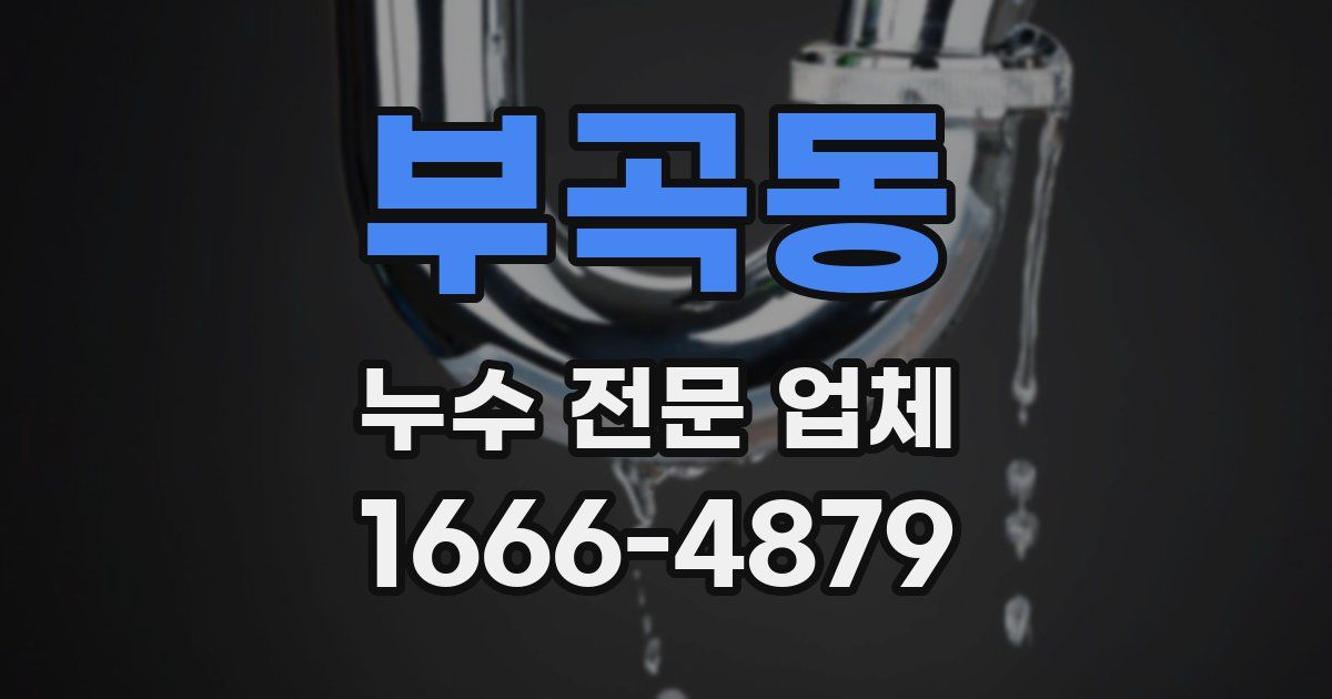 부곡동 누수 전문 업체