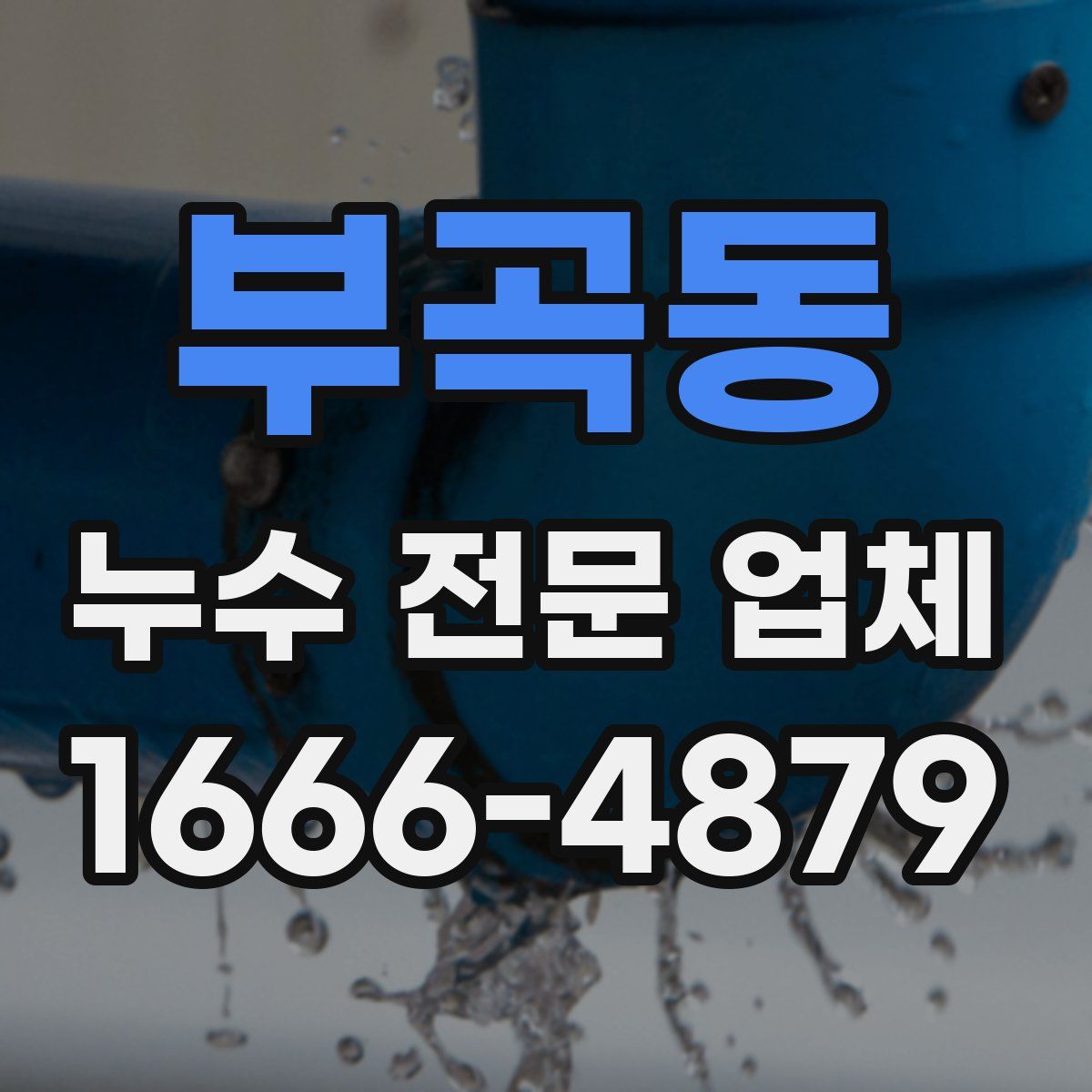 부곡동 누수 전문 업체