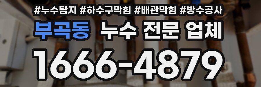 부곡동 누수 전문 업체