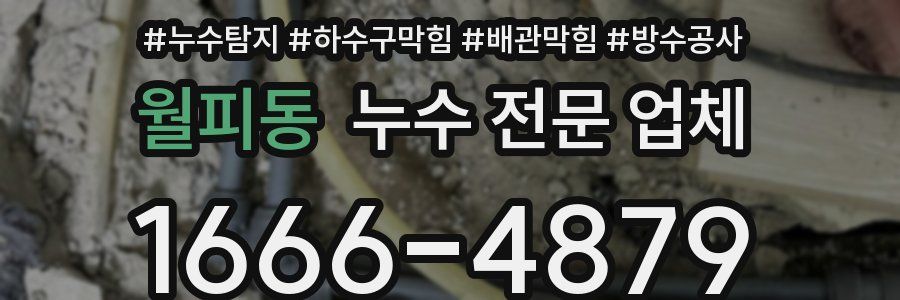 월피동 누수 전문 업체
