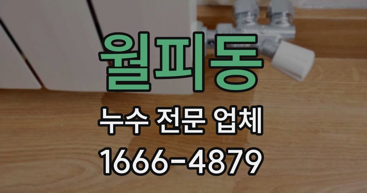 월피동 누수 전문 업체