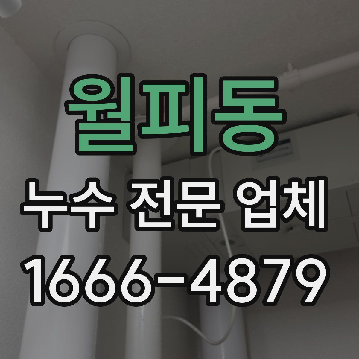 월피동 누수 전문 업체