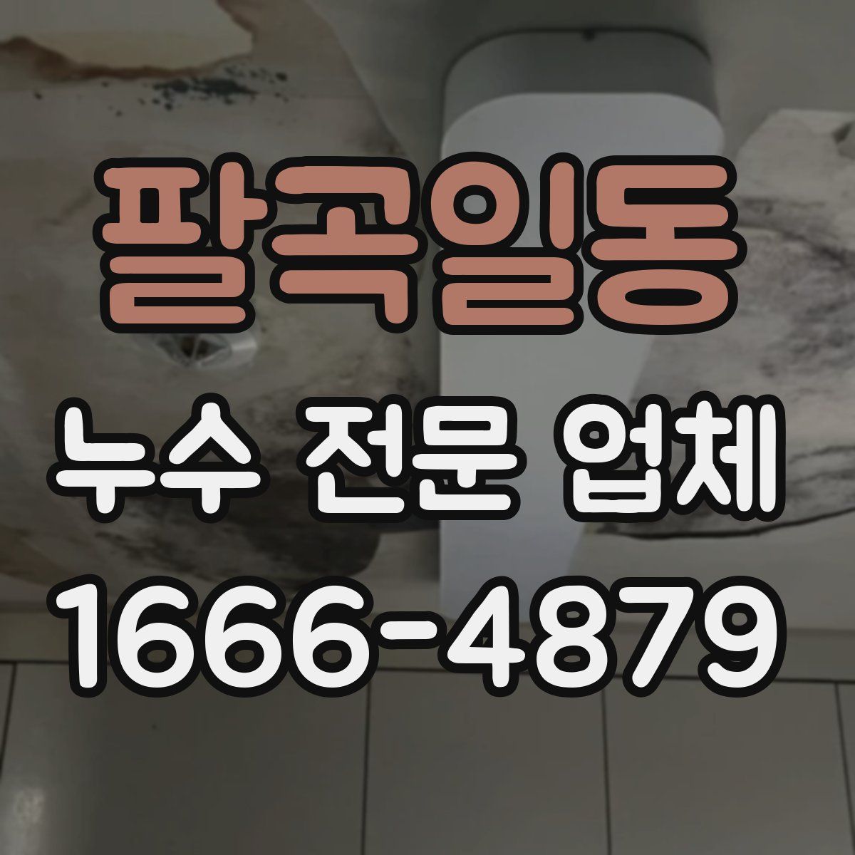 팔곡일동 누수 전문 업체