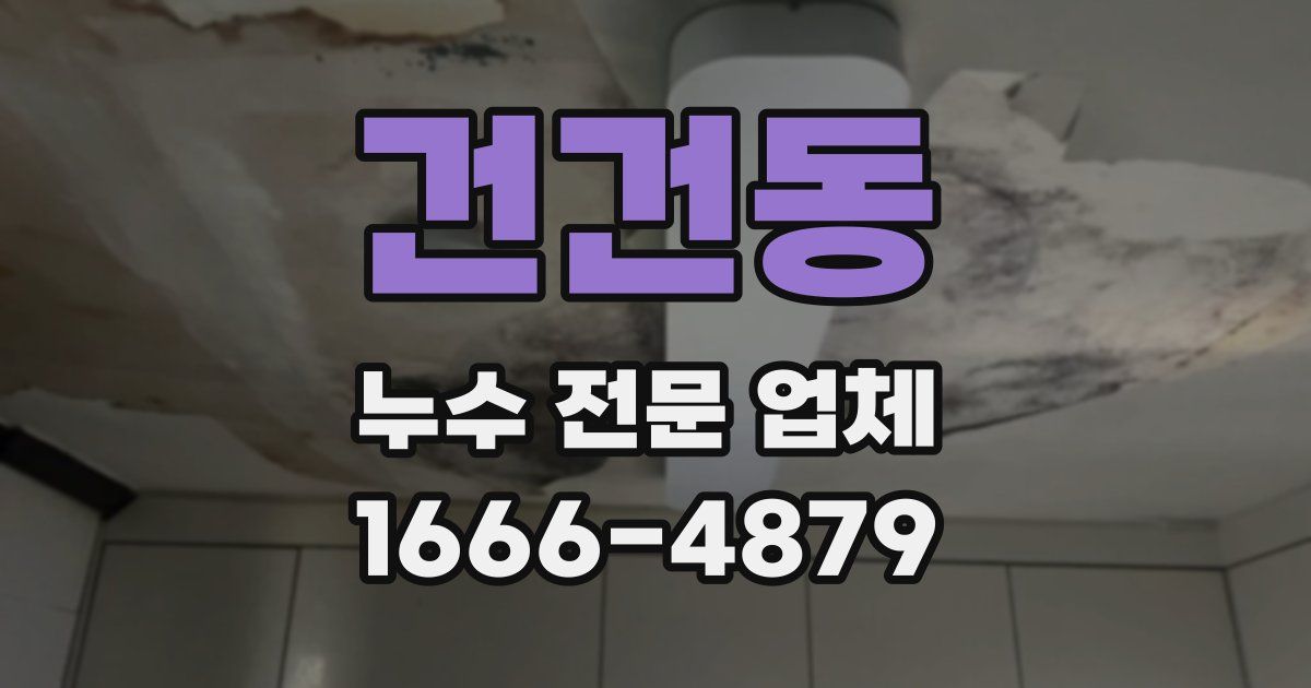 건건동 누수 전문 업체