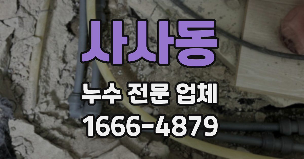 사사동 누수 전문 업체