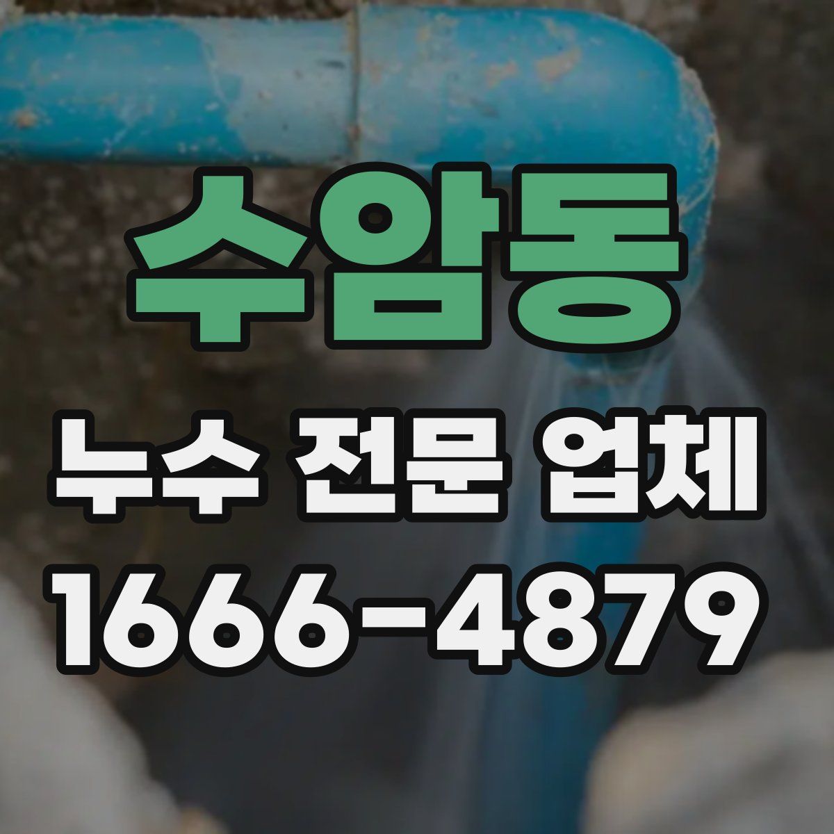 수암동 누수 전문 업체